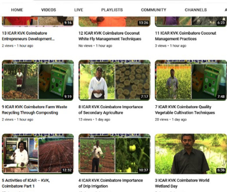 Daily Market Information DMI